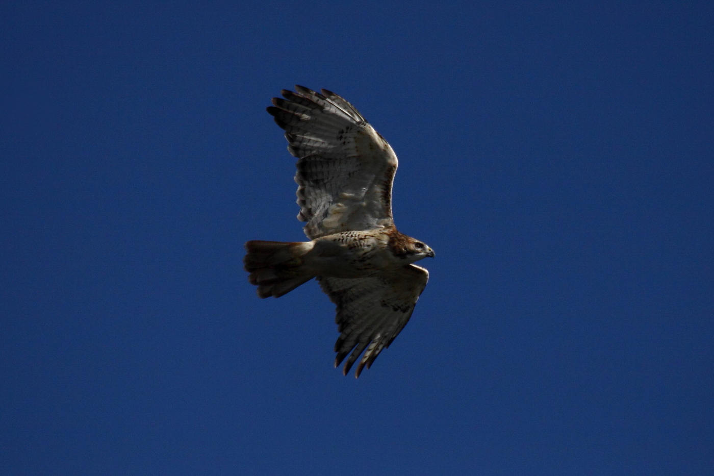 2013 09 29 HTP 12029e