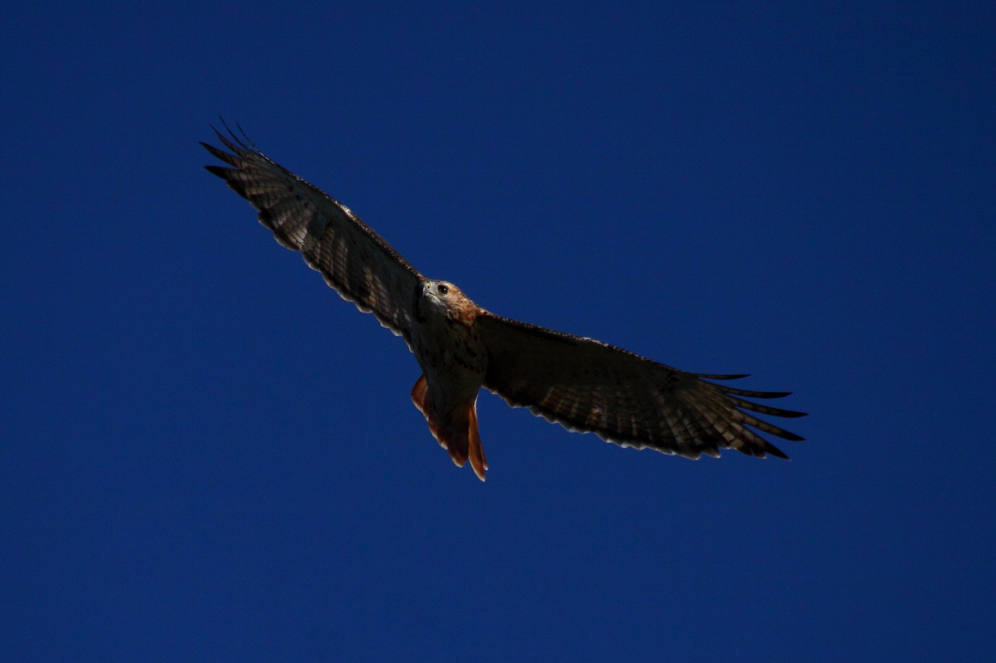 2013 09 29 HTP 12032e