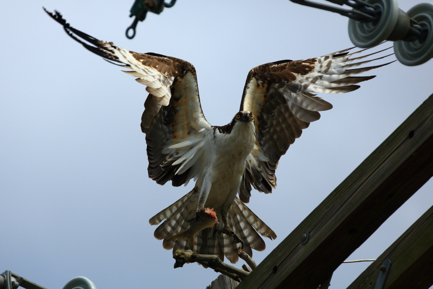 2012 04 11 9999 77e