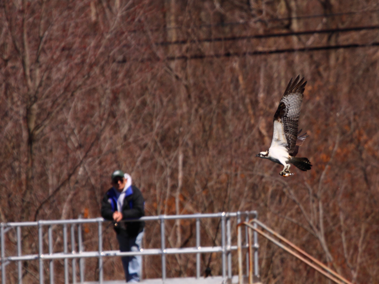2013 03 26 IMG 00279e