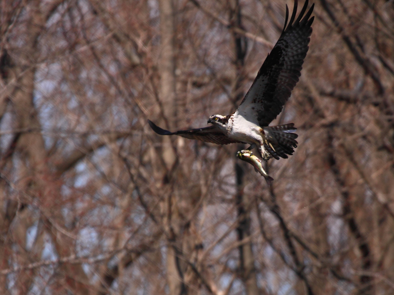 2013 03 26 IMG 00323e