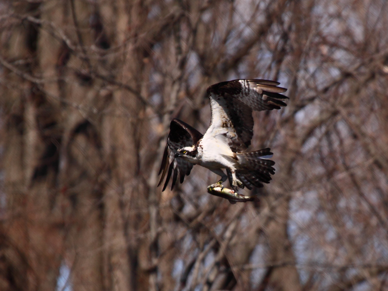 2013 03 26 IMG 00324e