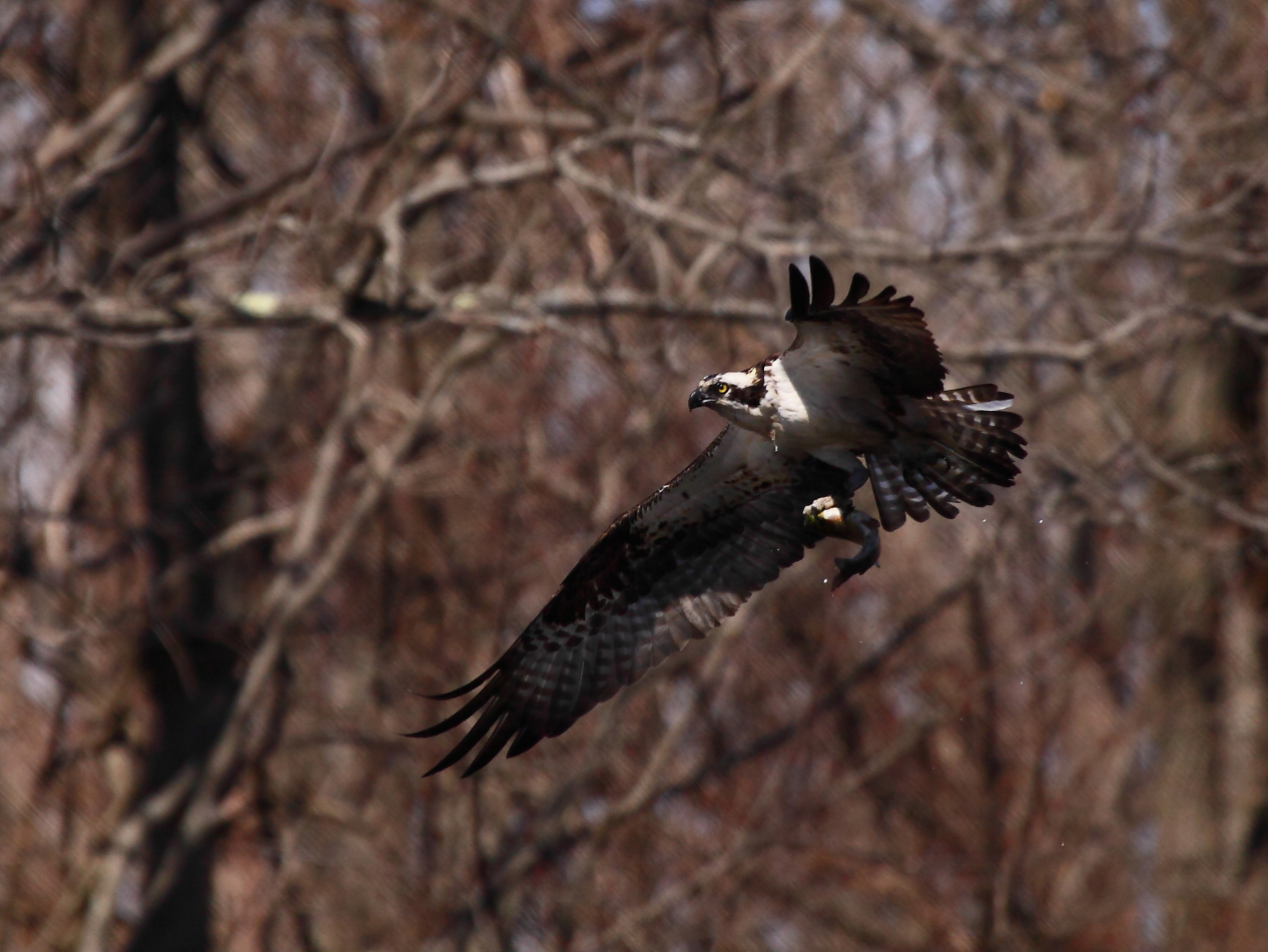 2013 03 26 IMG 00325e