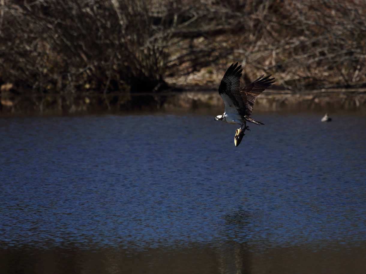 2013 03 29 IMG 00970e