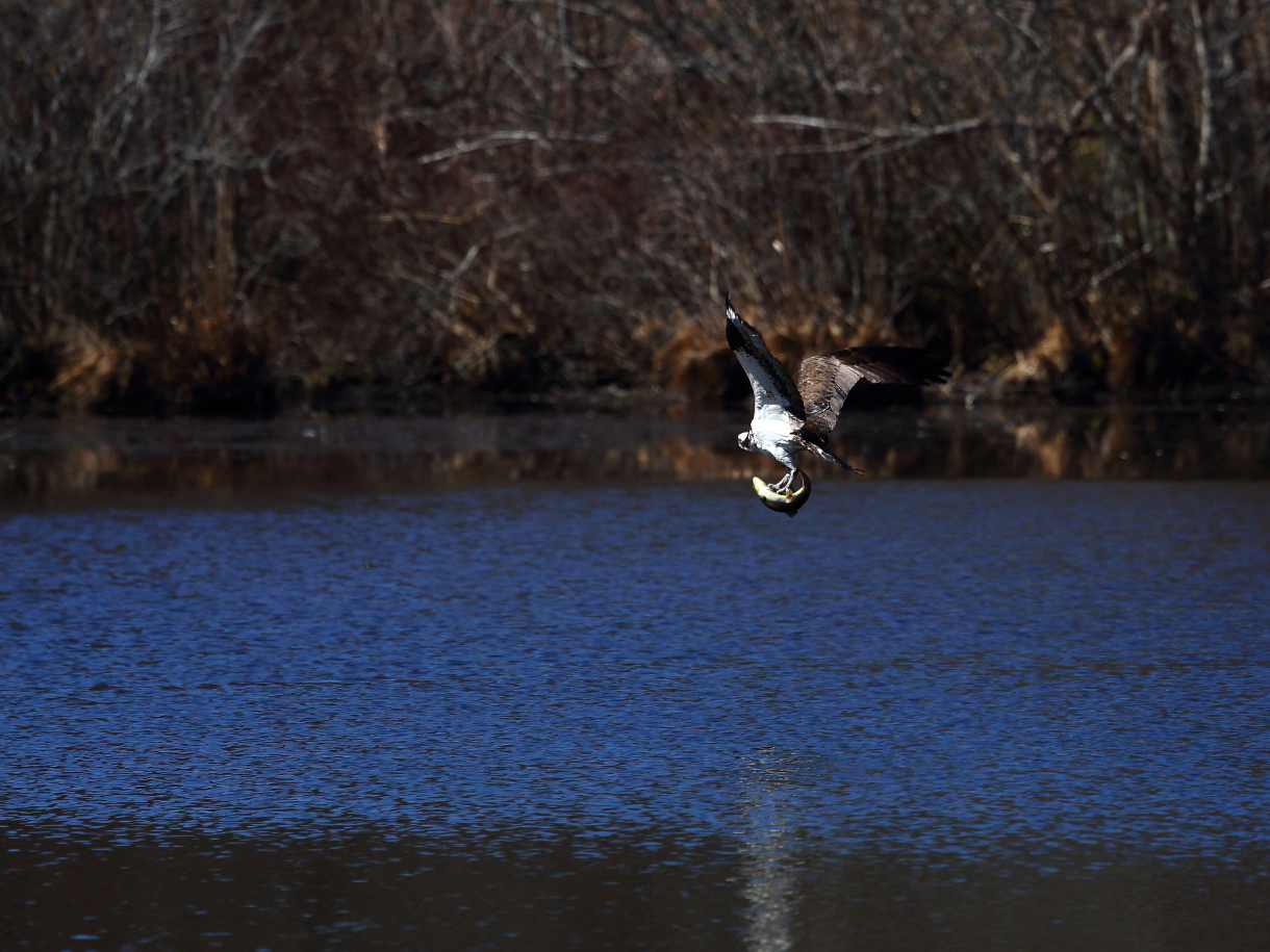2013 03 29 IMG 00973e