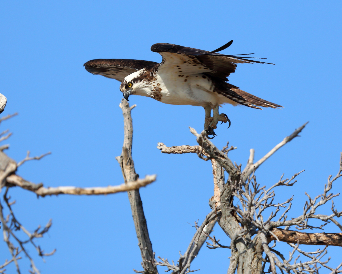 2013 04 03 IMG 02484e