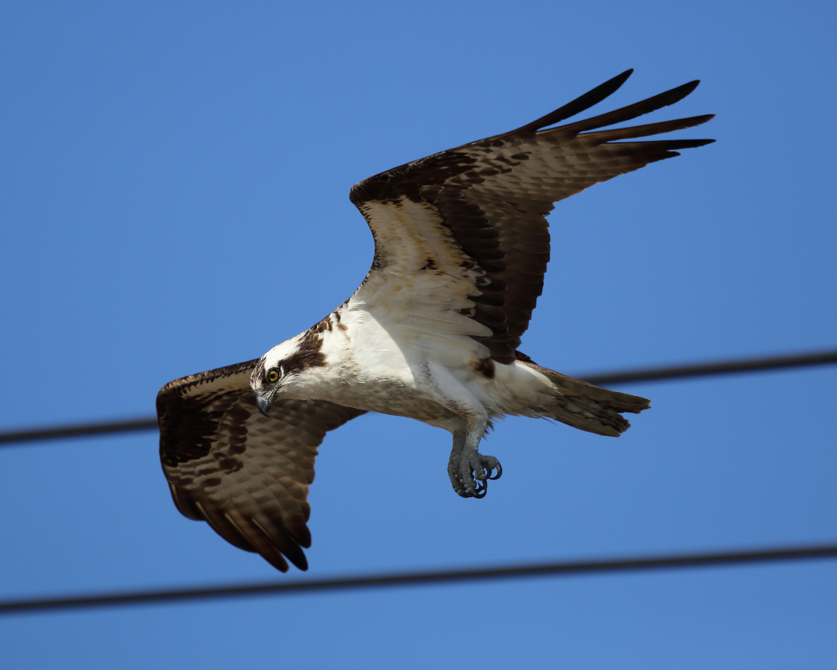 2013 04 03 IMG 02490e