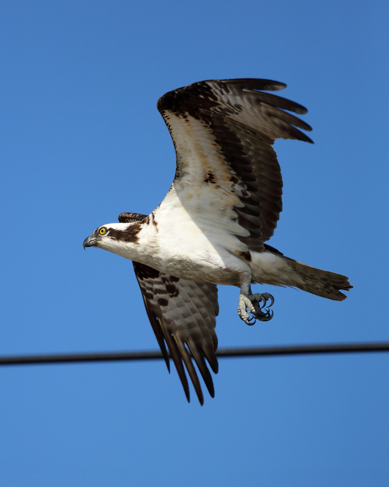 2013 04 03 IMG 02492e