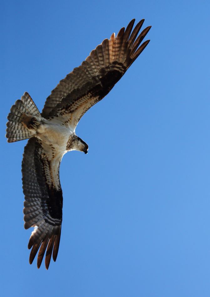 2013 04 03 IMG 02508e