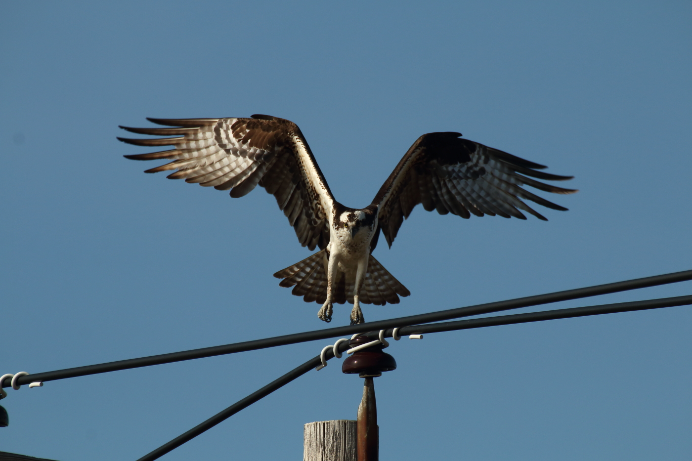 2014 05 01 HTP 46766