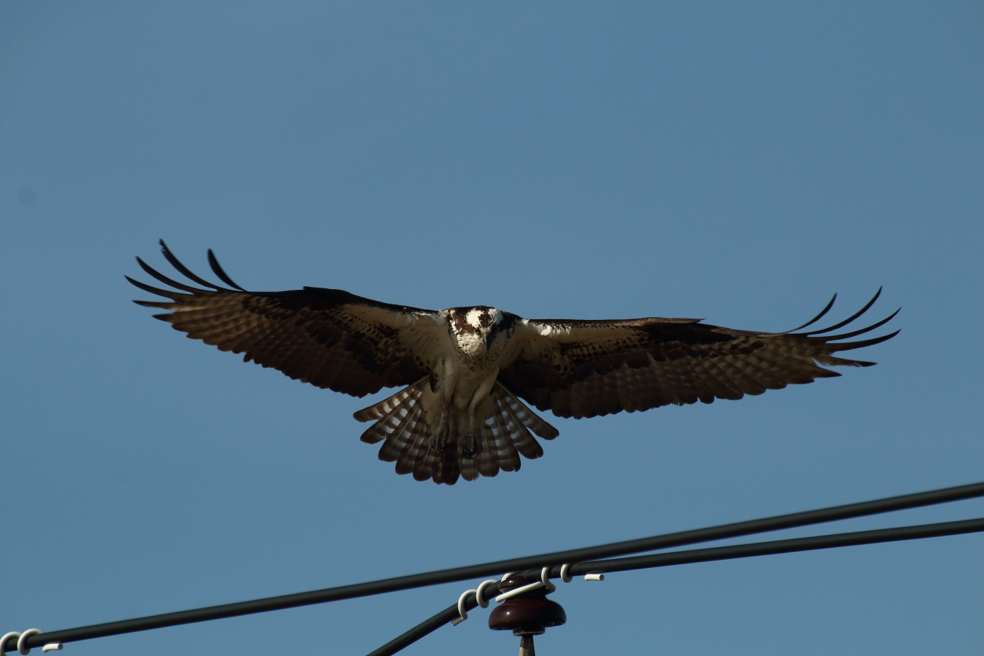 2014 05 01 HTP 46767
