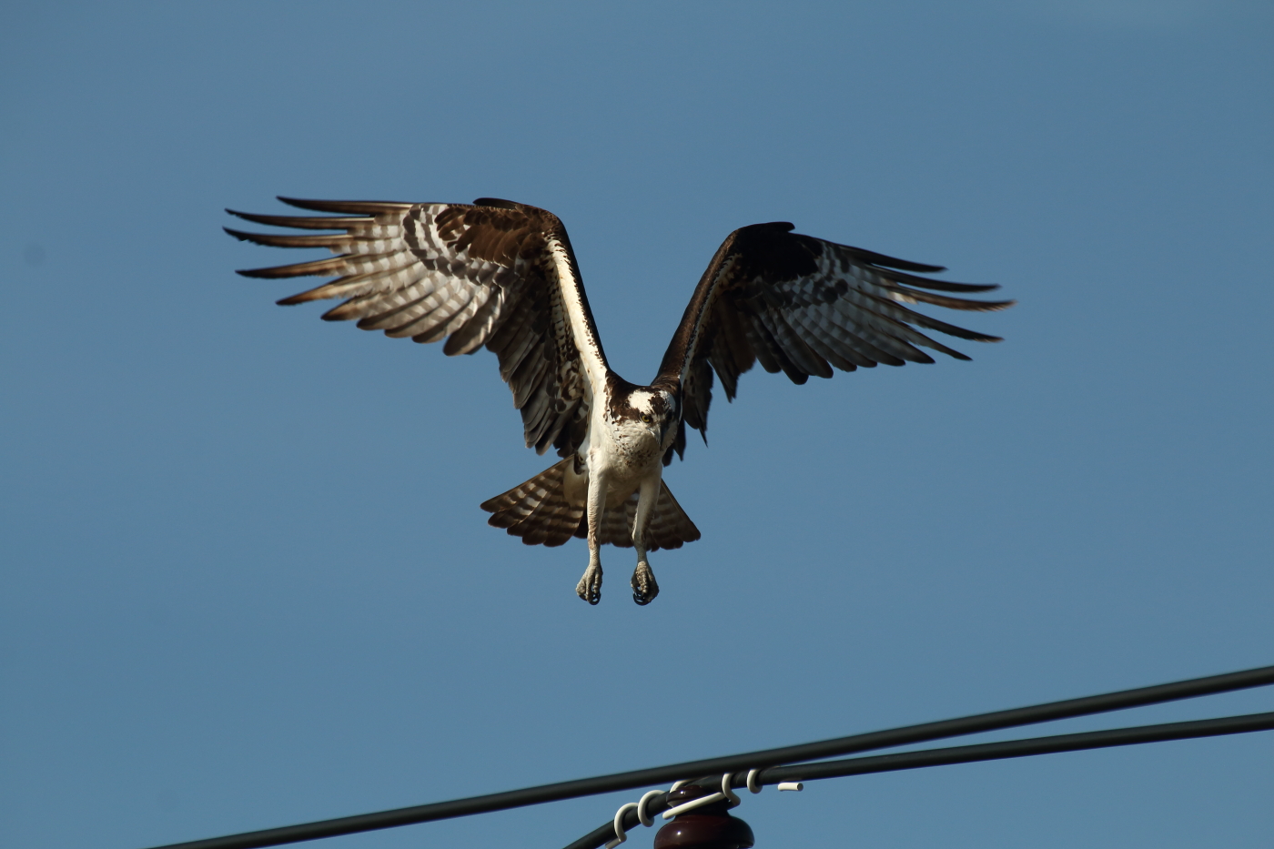 2014 05 01 HTP 46768
