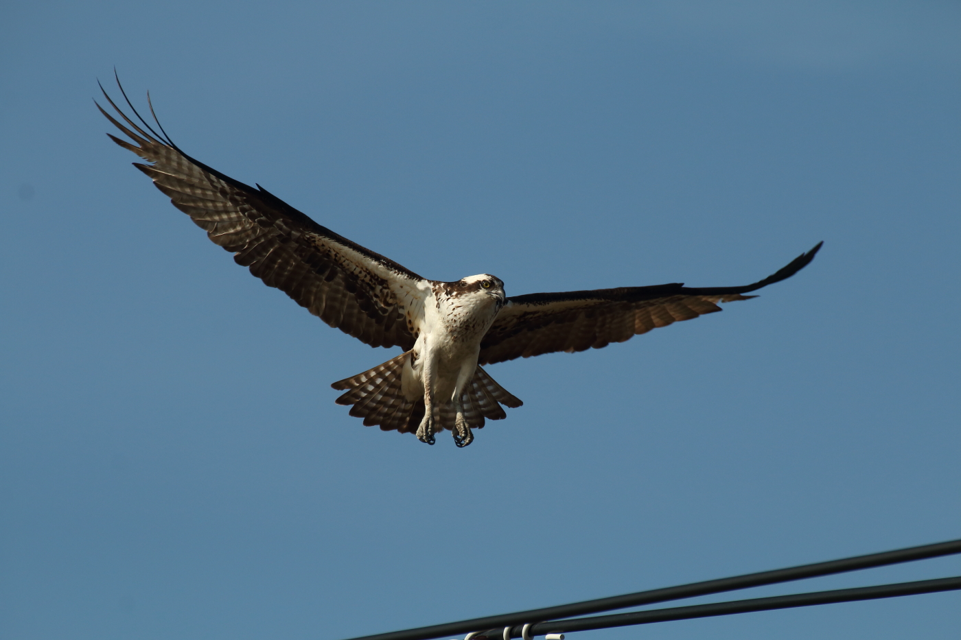 2014 05 01 HTP 46769
