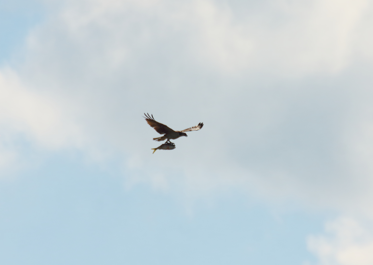 2014 09 07 HTP 85626