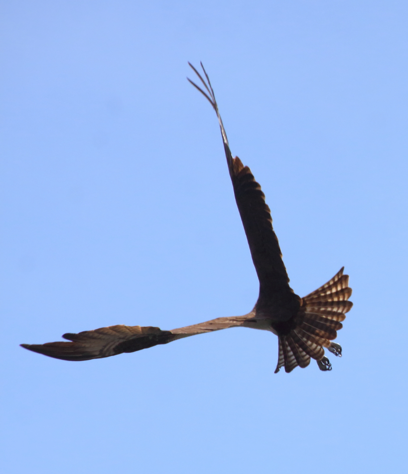 2015 04 19 HTP 000042641
