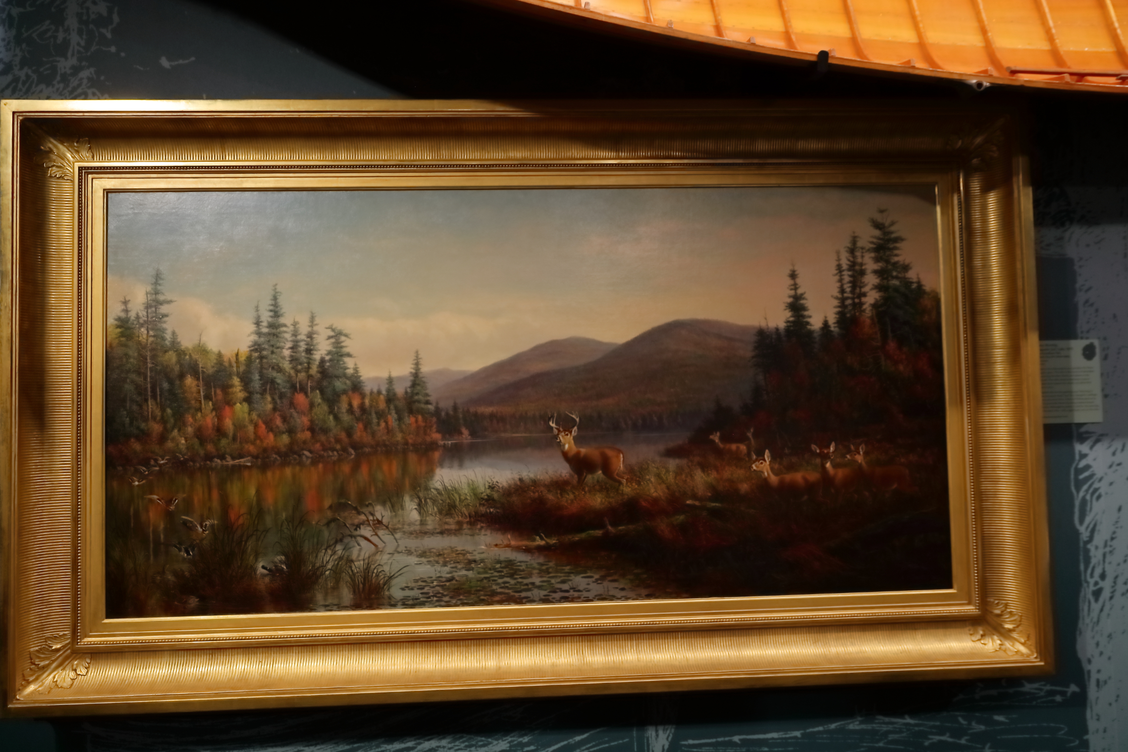 2024 10 09 HTP 51319e5
