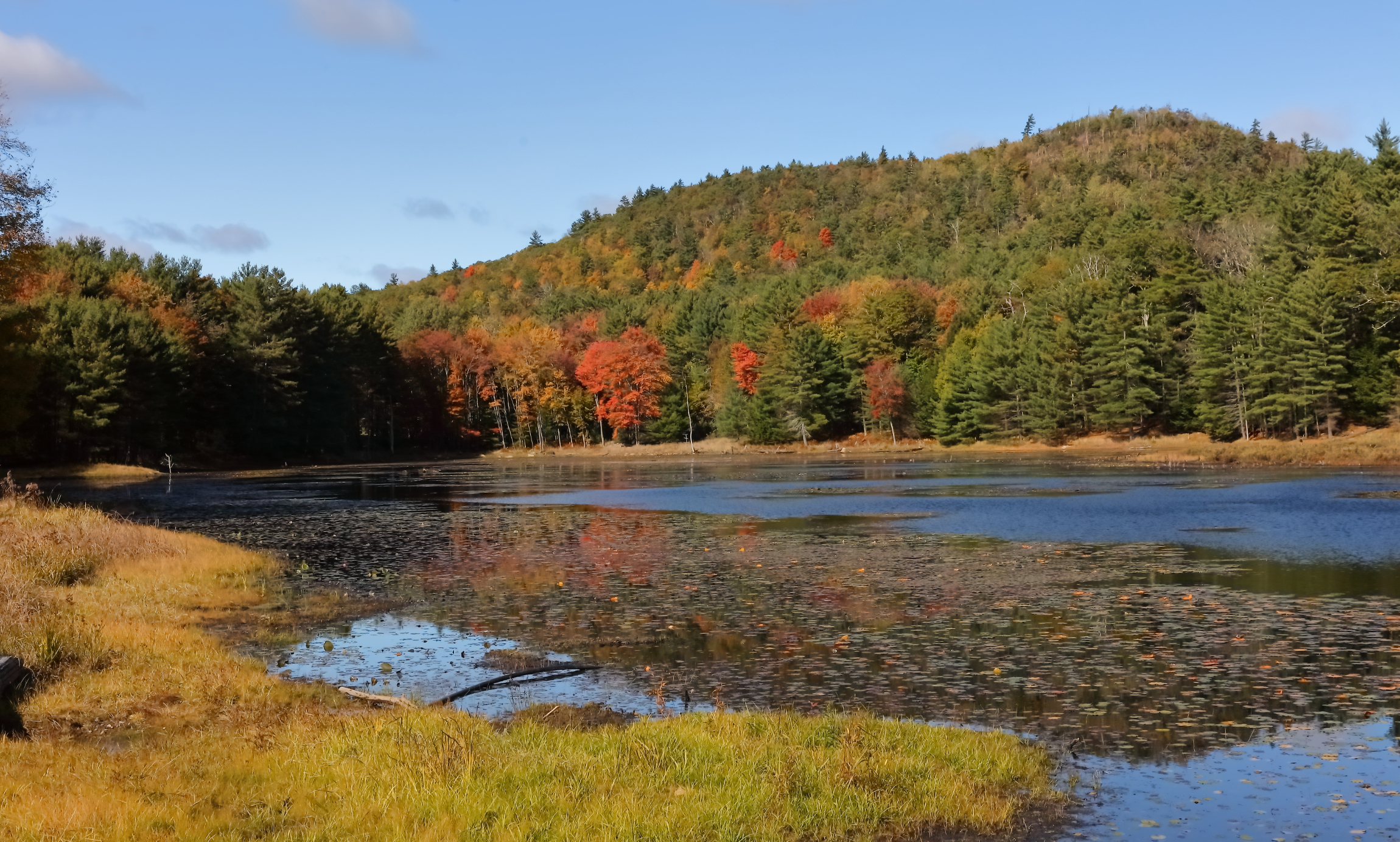 Bolton Landing NY Fall 2024