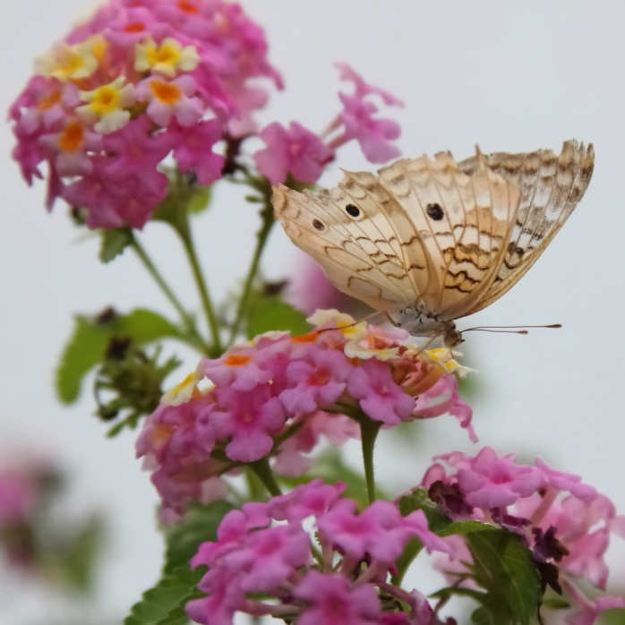 2011 08 05 IMG 35484e