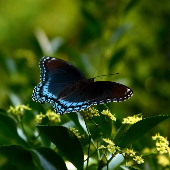 2012 07 23 9294e