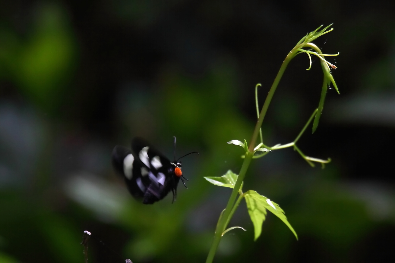 2015 05 20 HTP 000056841e