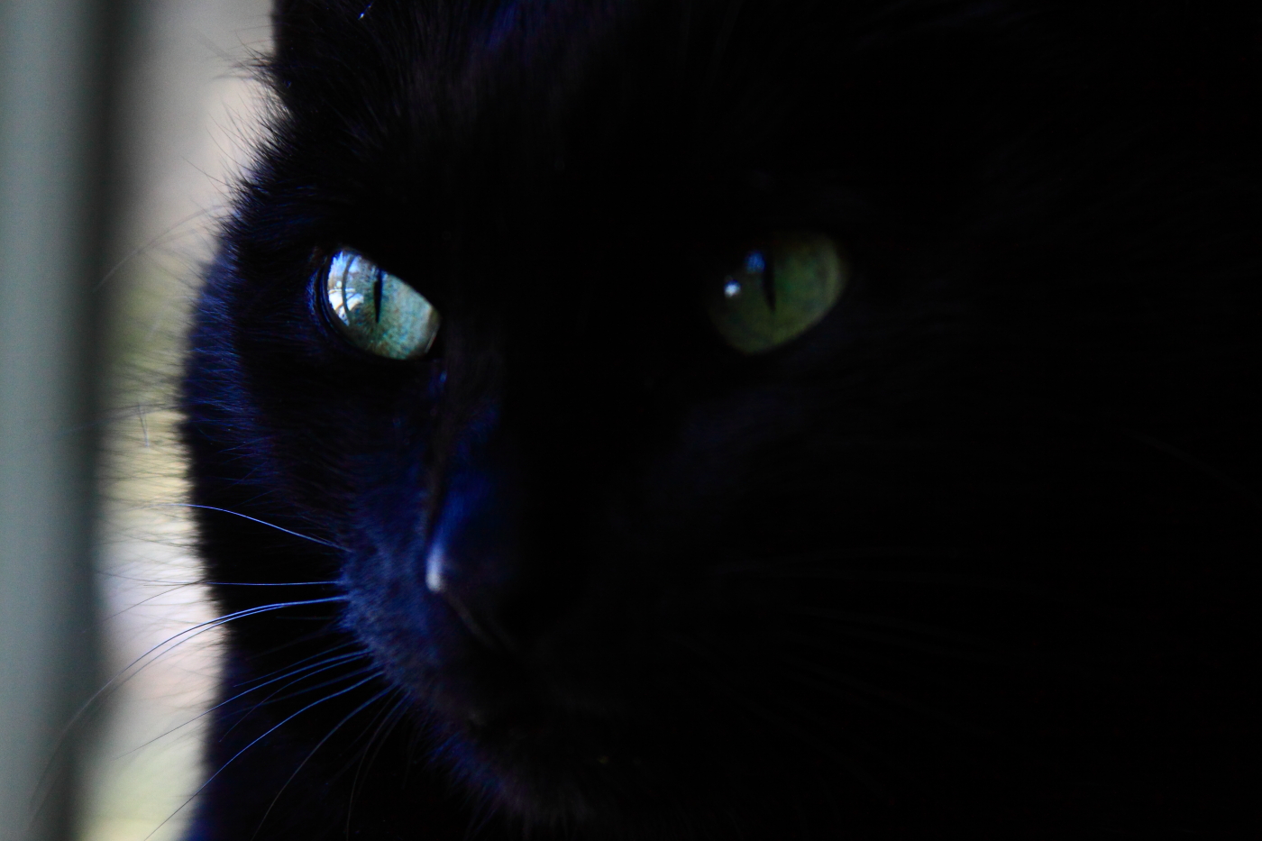 2011 02 27 IMG 22168