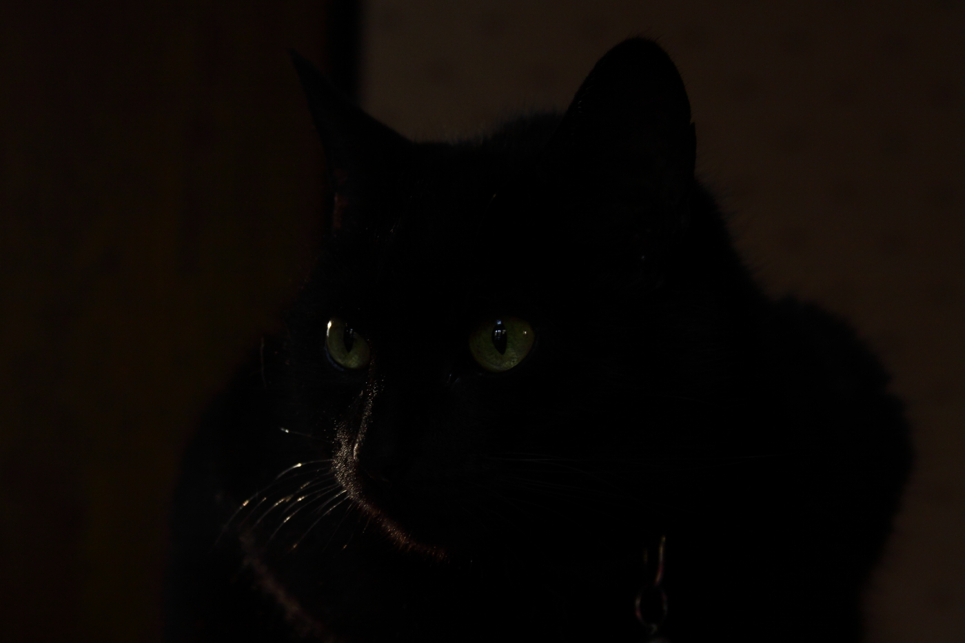 2012 03 05 7562