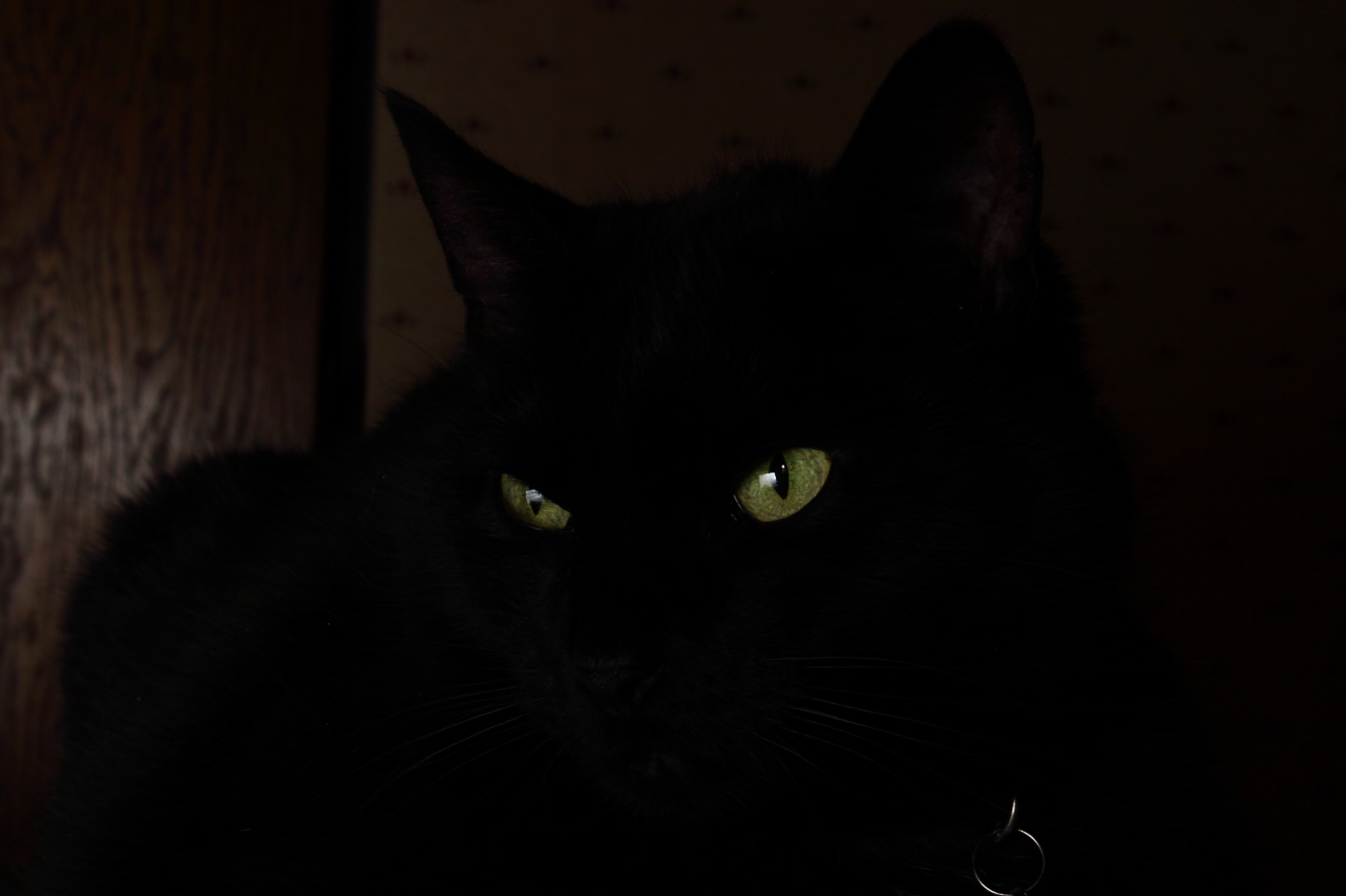 2012 03 05 7610