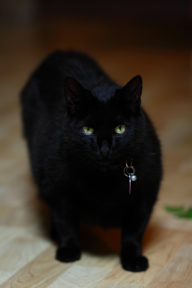 2012 07 15 8927