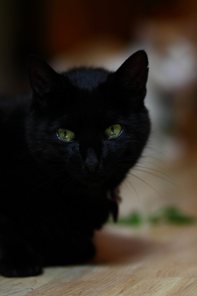 2012 07 15 8936