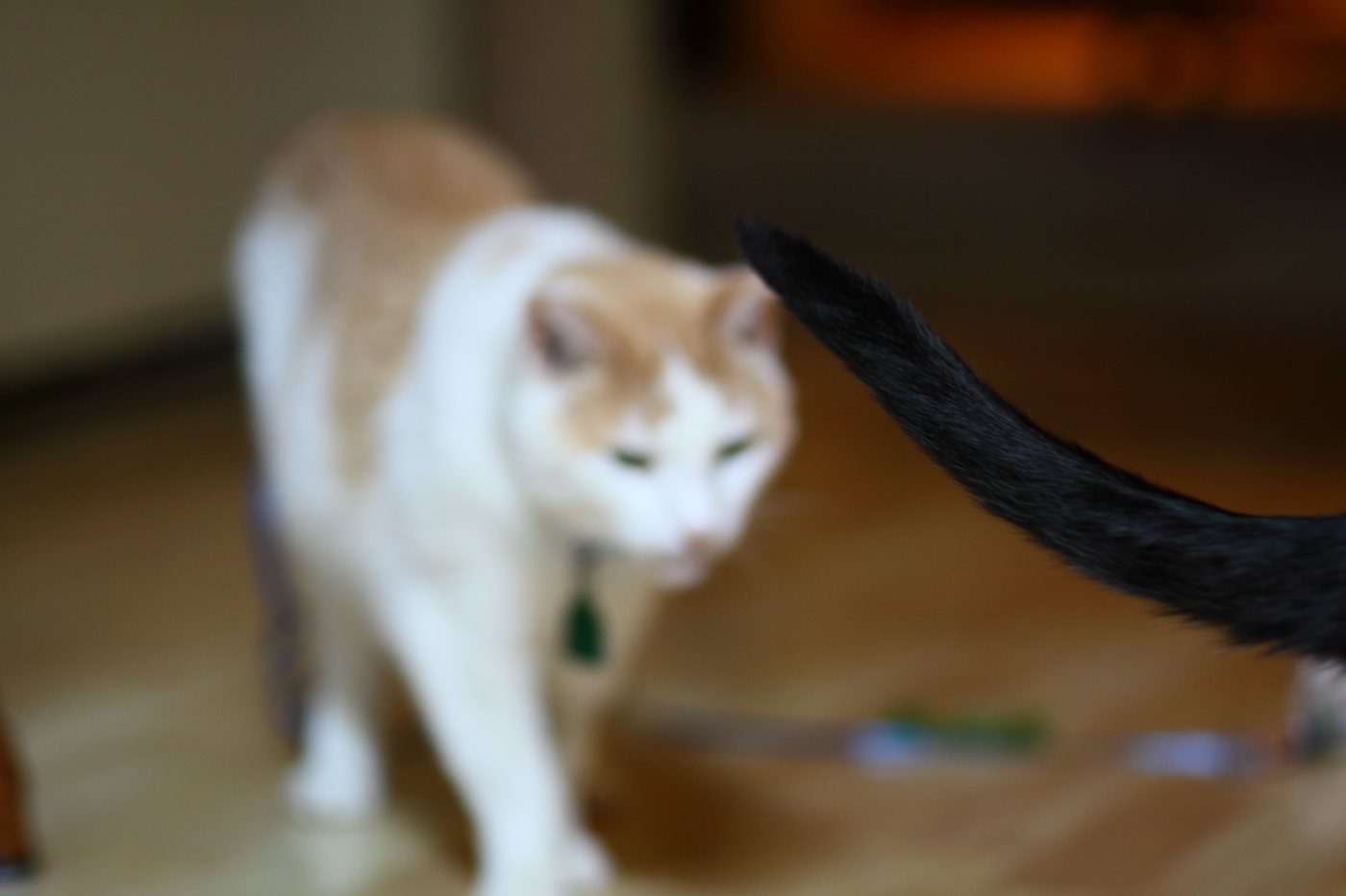 2012 07 15 8950