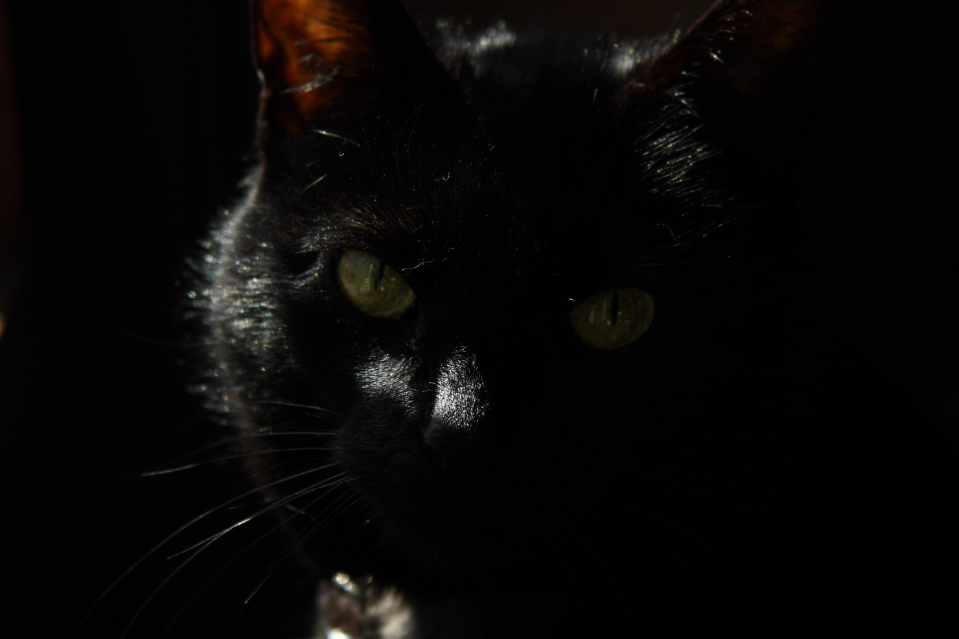 2013 03 14 IMG 9931