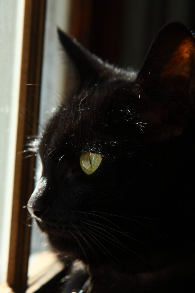 2013 03 14 IMG 9946