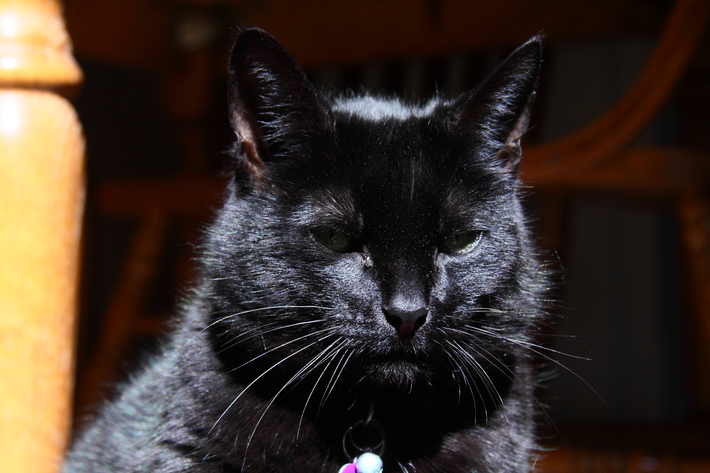 2013 03 14 IMG 9974