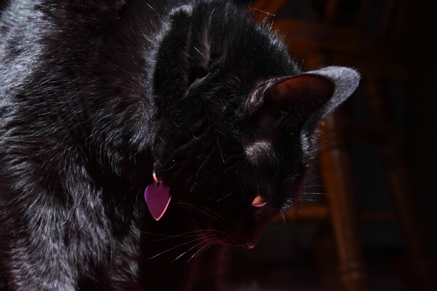 2013 03 14 IMG 9999 28