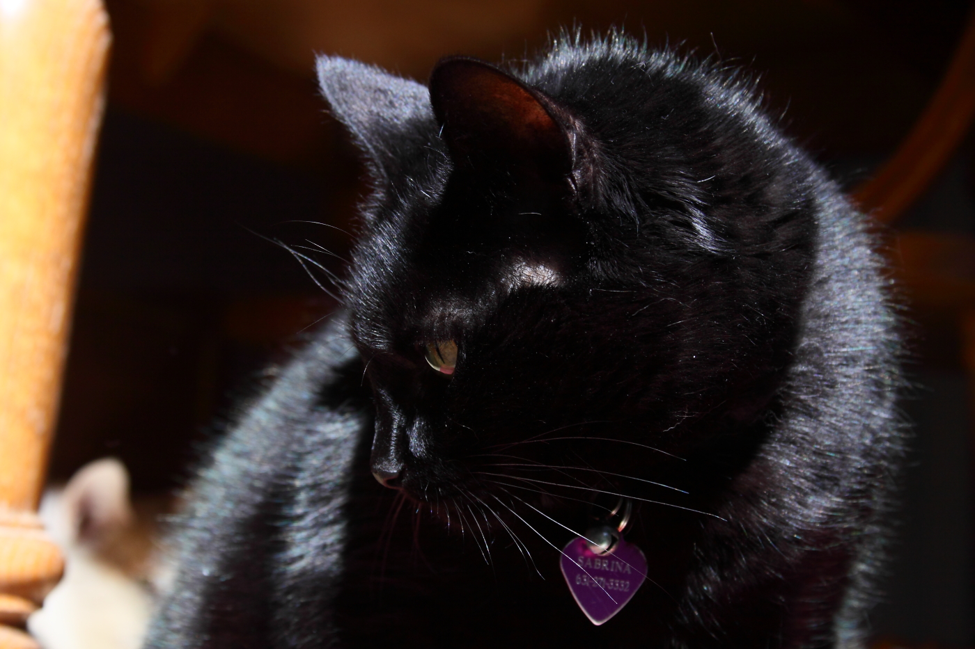 2013 03 14 IMG 9999 31
