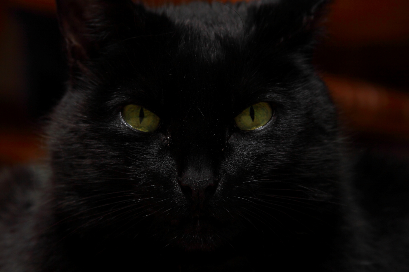 2013 03 15 IMG 9999 17ei