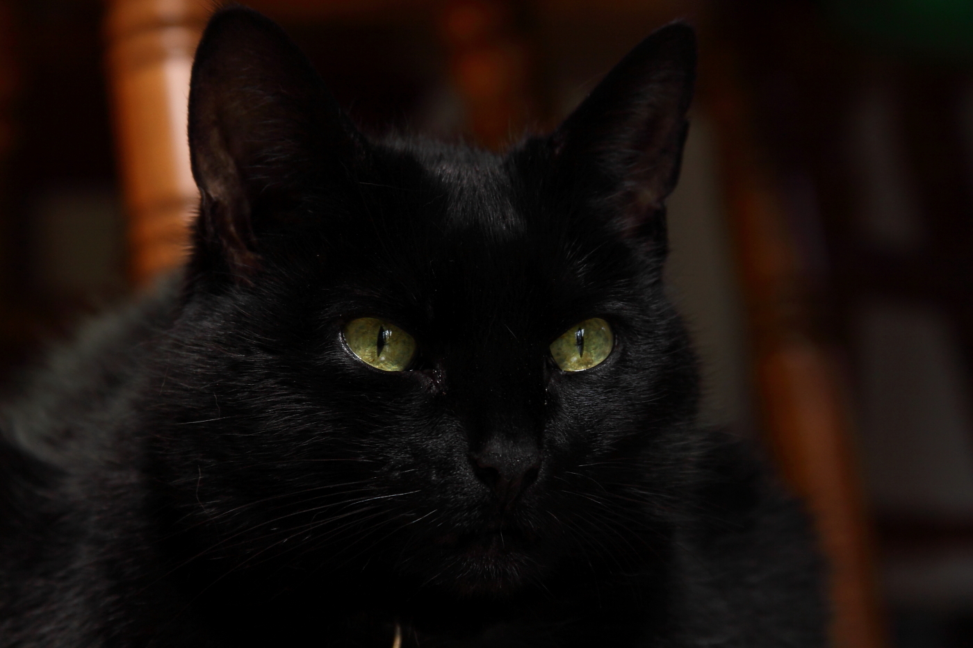 2013 03 15 IMG 9999 2ei