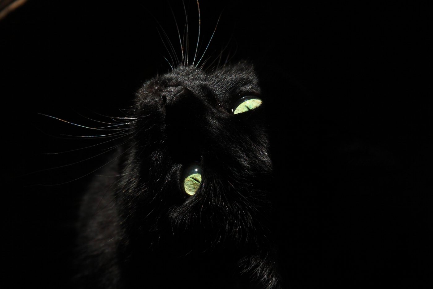 2013 03 22 IMG 00015