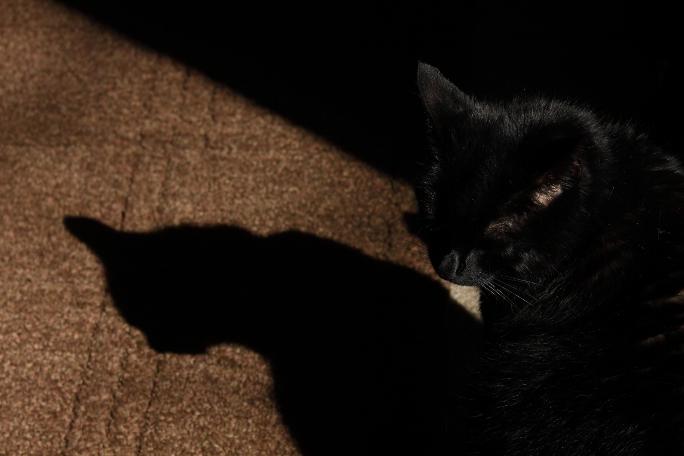 2013 03 22 IMG 00030