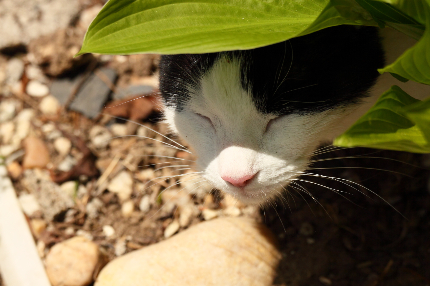 2013 04 25 IMG 04207