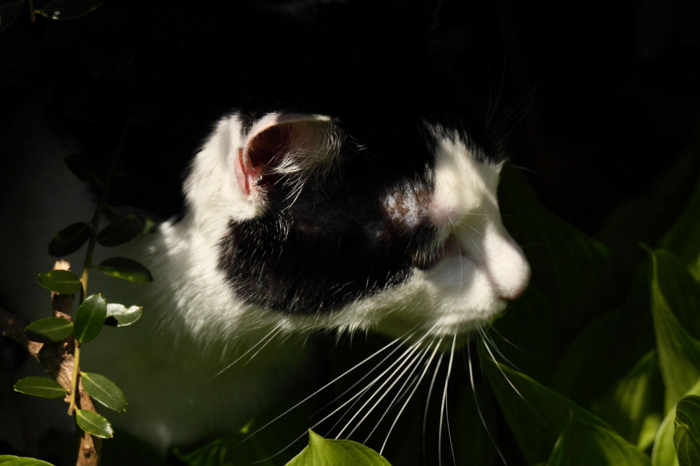 2013 04 25 IMG 04209
