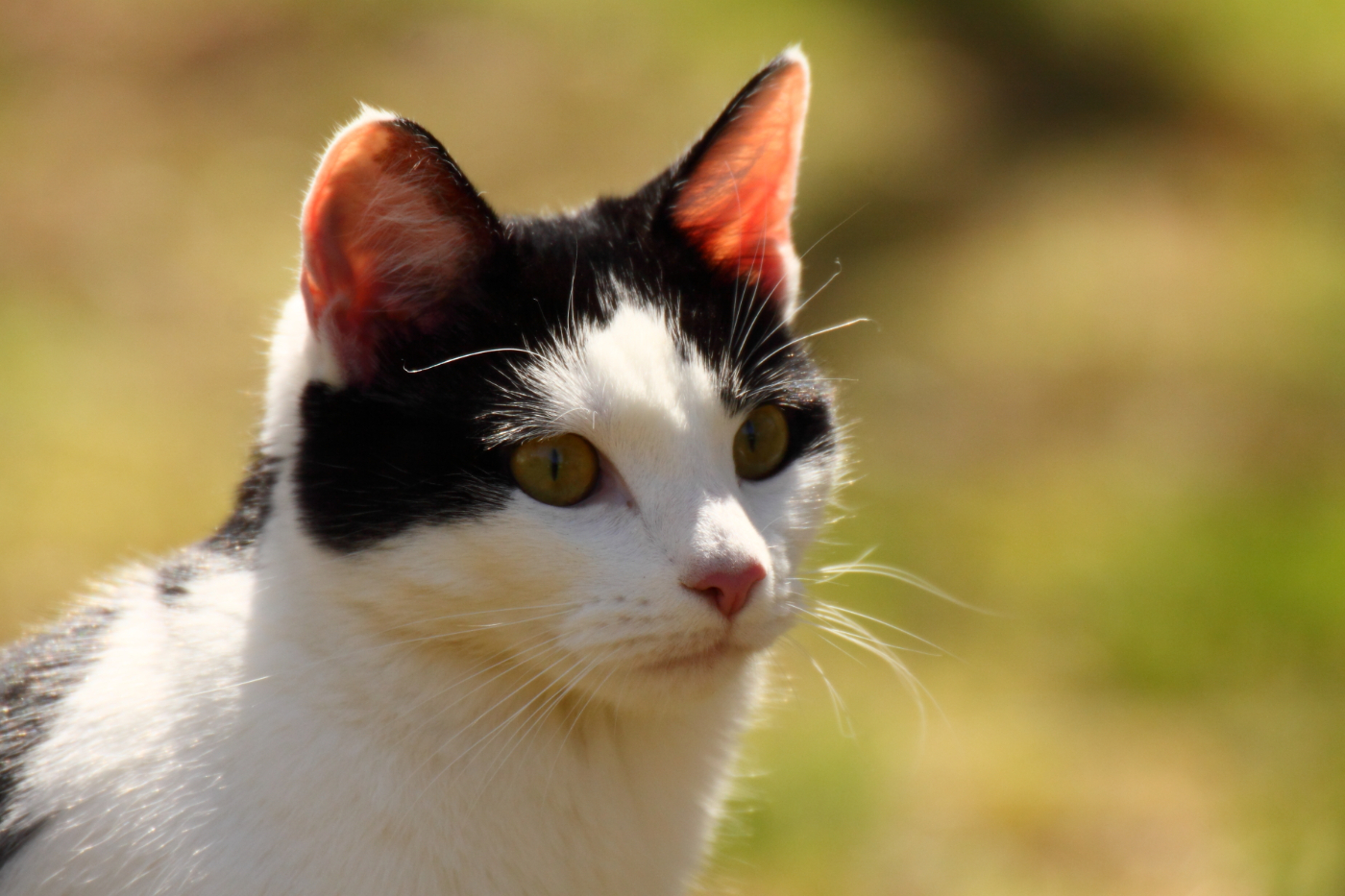 2013 04 25 IMG 04240