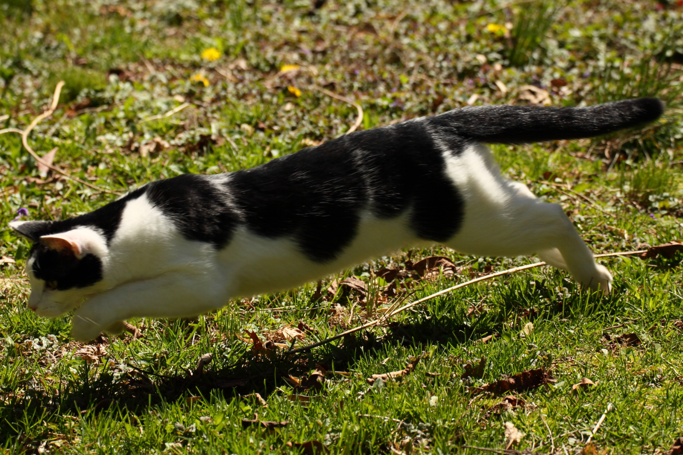 2013 04 25 IMG 04248