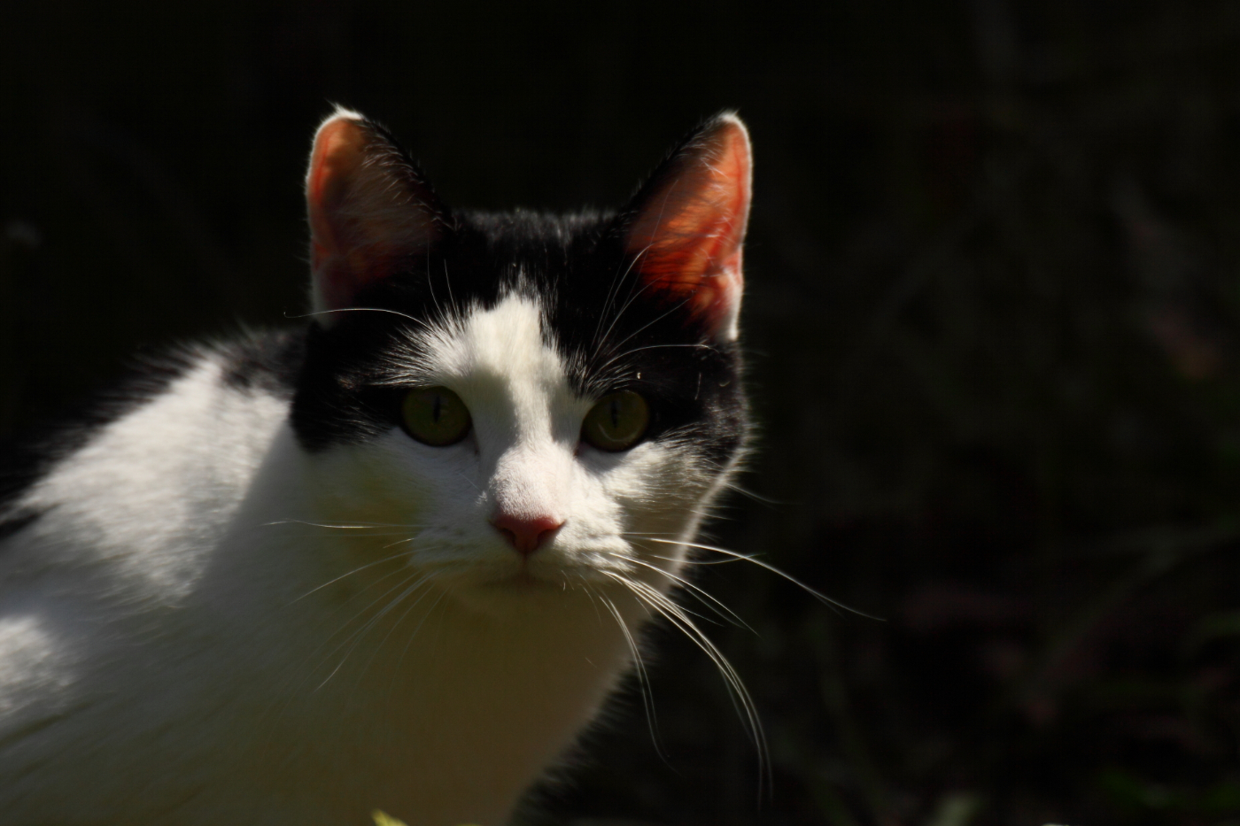 2013 04 25 IMG 04276