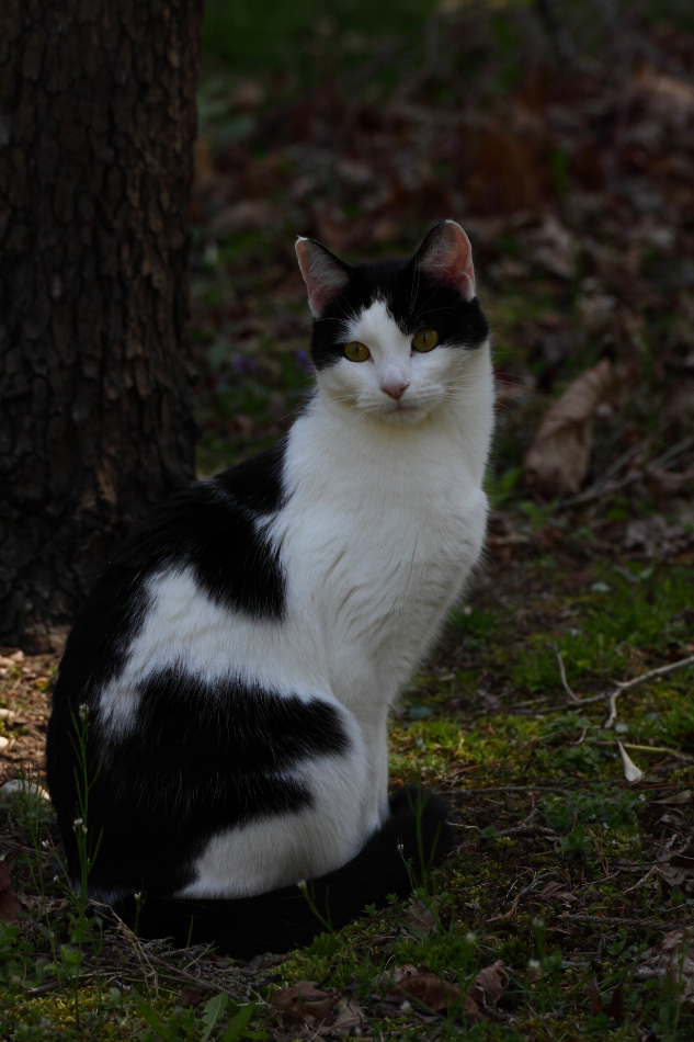 2013 04 25 IMG 04288