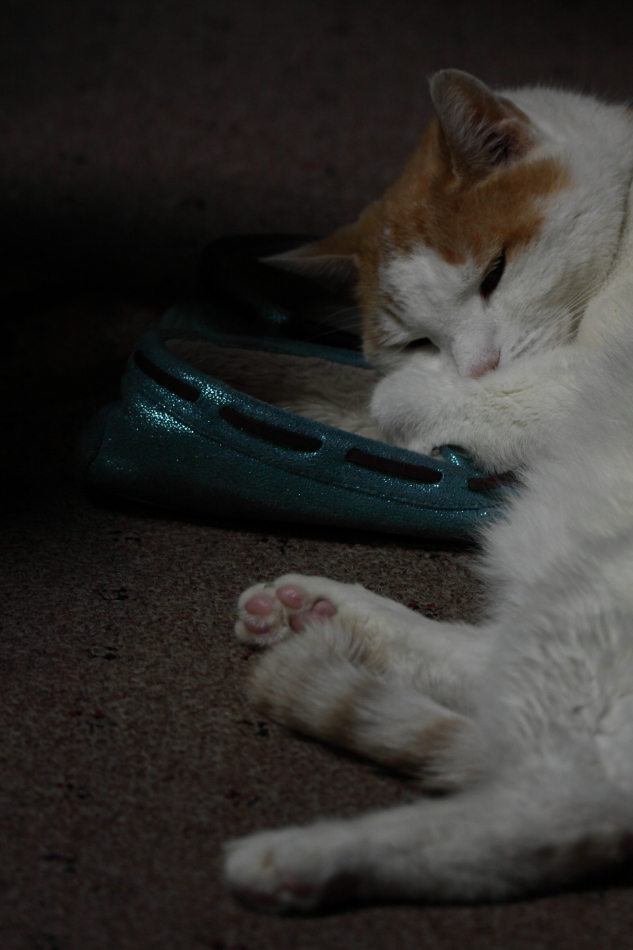 2013 08 10 HTP 01820