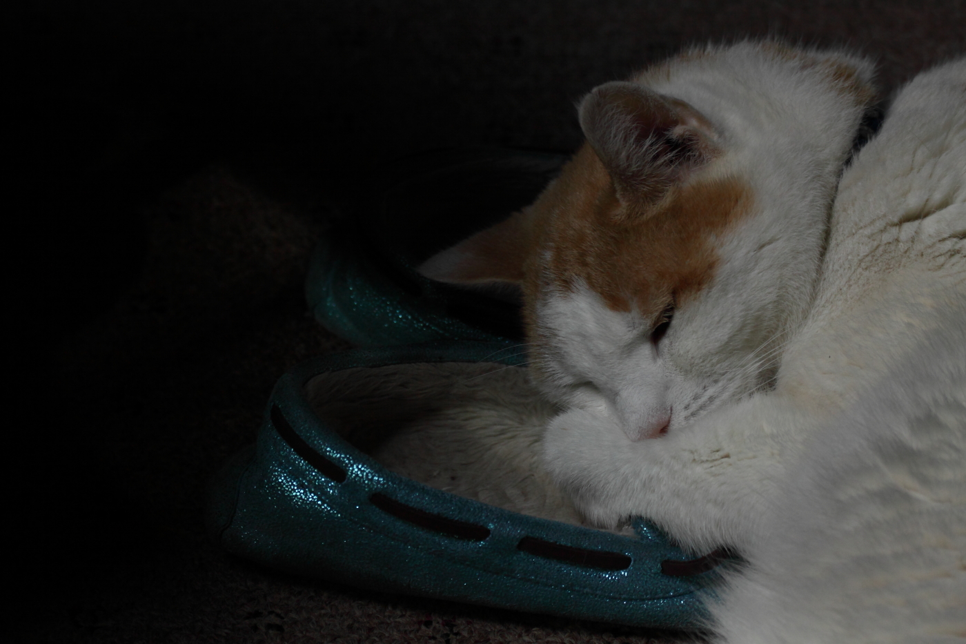 2013 08 10 HTP 01821