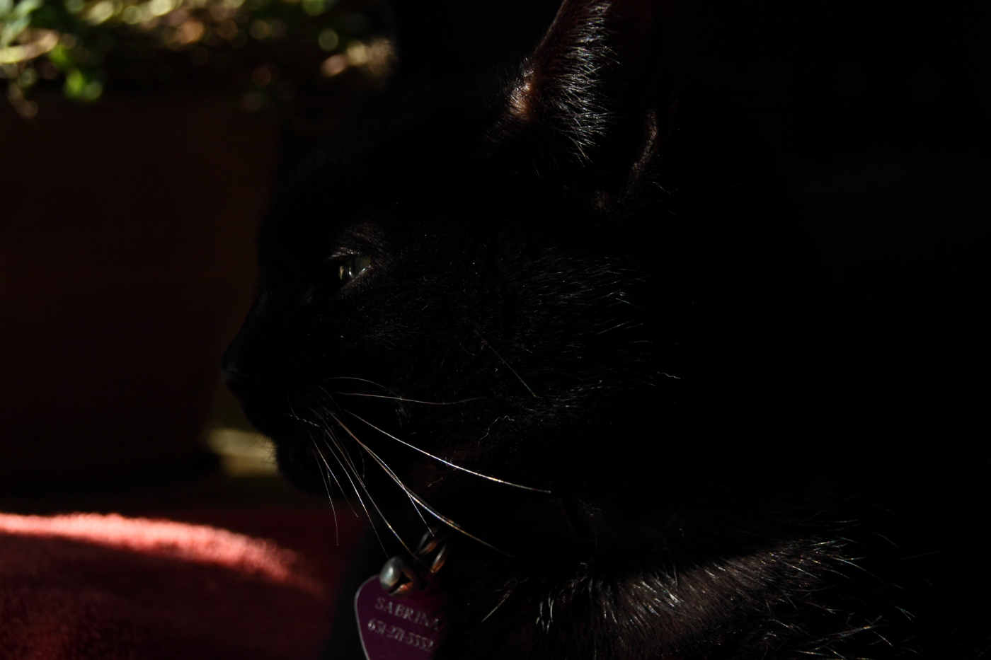 2013 11 19 HTP 17402