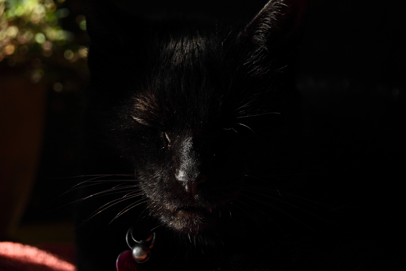 2013 11 19 HTP 17424