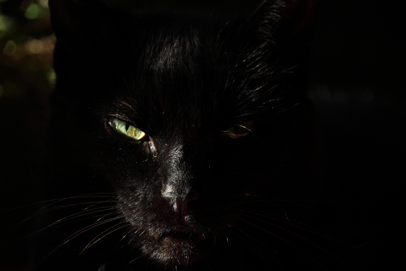 2013 11 19 HTP 17429